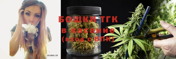 сатива Заволжск