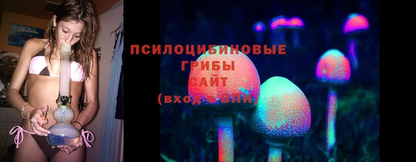 прущие грибы Заволжье