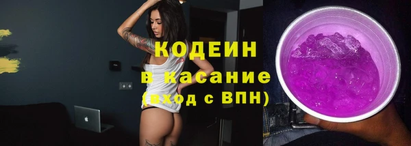 прущие грибы Заволжье