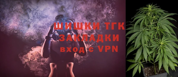 шишки Заводоуковск