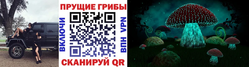 Псилоцибиновые грибы мицелий Купить Кемерово